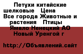 Петухи китайские шелковые › Цена ­ 1 000 - Все города Животные и растения » Птицы   . Ямало-Ненецкий АО,Новый Уренгой г.